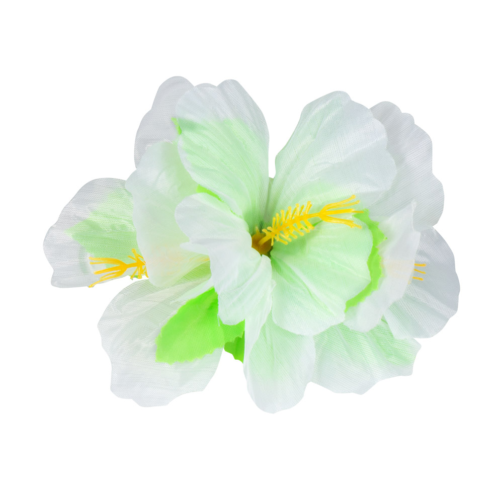 Caribiën Hibiscus bloem wit
